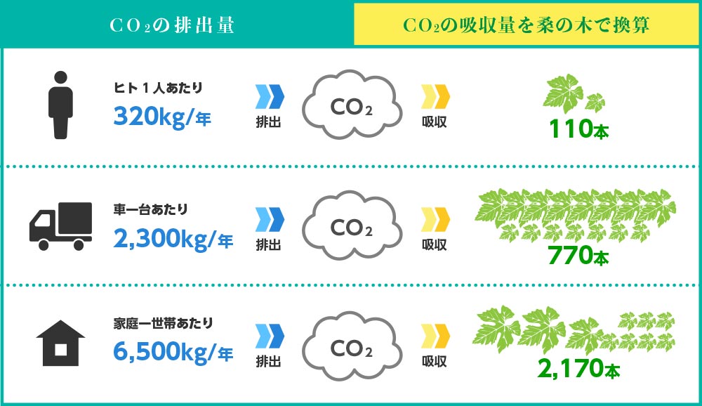 CO2の吸収量を桑の葉で換算